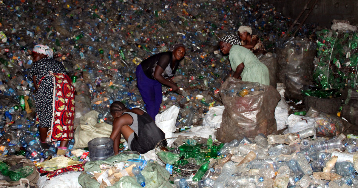 Nigerian waste recycling business turns trash into cash